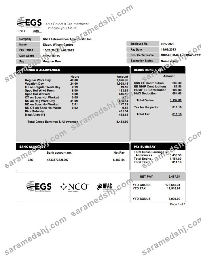 EXPERT GLOBAL SOLUTIONS COMPANY pay stub in PDF and Word format